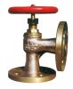 Globe Valve