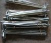 LIGHTING POLE ACCESSORIES