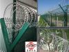 flat razor wire