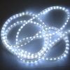 LED Rope Light