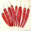 Chilli