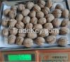 Walnut kernels, walnut in shell