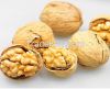 Walnut kernels, walnut in shell