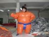 Inflatable Sumo