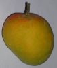 Indian Alphonso Mango