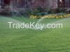 Garden Sprinkler &amp; Playground Irrigation