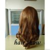 Natrual Hairline European hair Silk top wigs