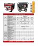Gasoline Generator Set
