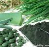 Organic Chlorella