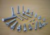 stainless screw manufa...