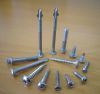 screw manufacturer- st...