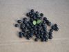 black bean with green ...