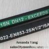 hydraulic hose SAE100 R1AT, R2AT