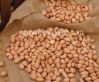 Peanuts Kernels, crop ...
