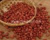 Chinese Peanuts Kernel...