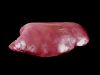 FROZEN BEEF LIVERS FOR...