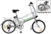Folding Electric Bike 01
