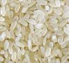 Rice Supplier| Rice Ex...