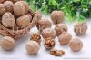 Wholesale Walnut &...