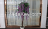 2015 Foliage plants ch...