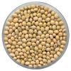 Soya Bean