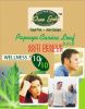 Carica Papaya Leaves E...