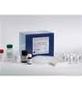 Rat Luteinizing hormon...