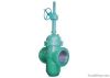 Gate Valve