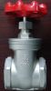 gate valve