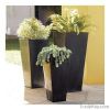 flowers planters