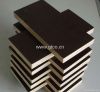 shuttering board/phenolic board