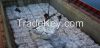 Portland Cement 42.5 R/N