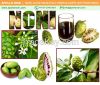 APOLLO NONI JUICE: Leader in Herbal Juice and Drink Supplier