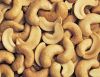WE CAN SUPPLY CASHEWNU...