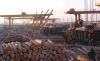 log wood import china ...