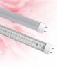 LED T8 tube light