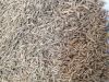 Organic Cumin seed