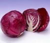 Red Cabbage Pigment, c...