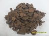 Coconut Shell
