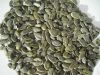 pumpkin seed kernels (...