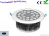 Ceiling Light LED