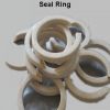 Seal  Ring