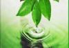 Natural Essential Oils...