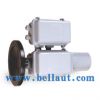 Electric Valve Actuato...