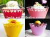 birthday party cupcake...