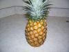 CANED PINEAPPLE