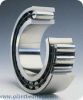 Toroidal roller bearing