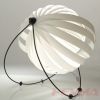 shell lamp
