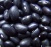 2012 Crop Black Kidney Beans