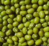 Green Mung Beans, 2.8mm+